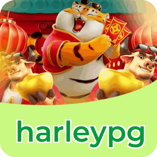 Cassino 24/7 disponível